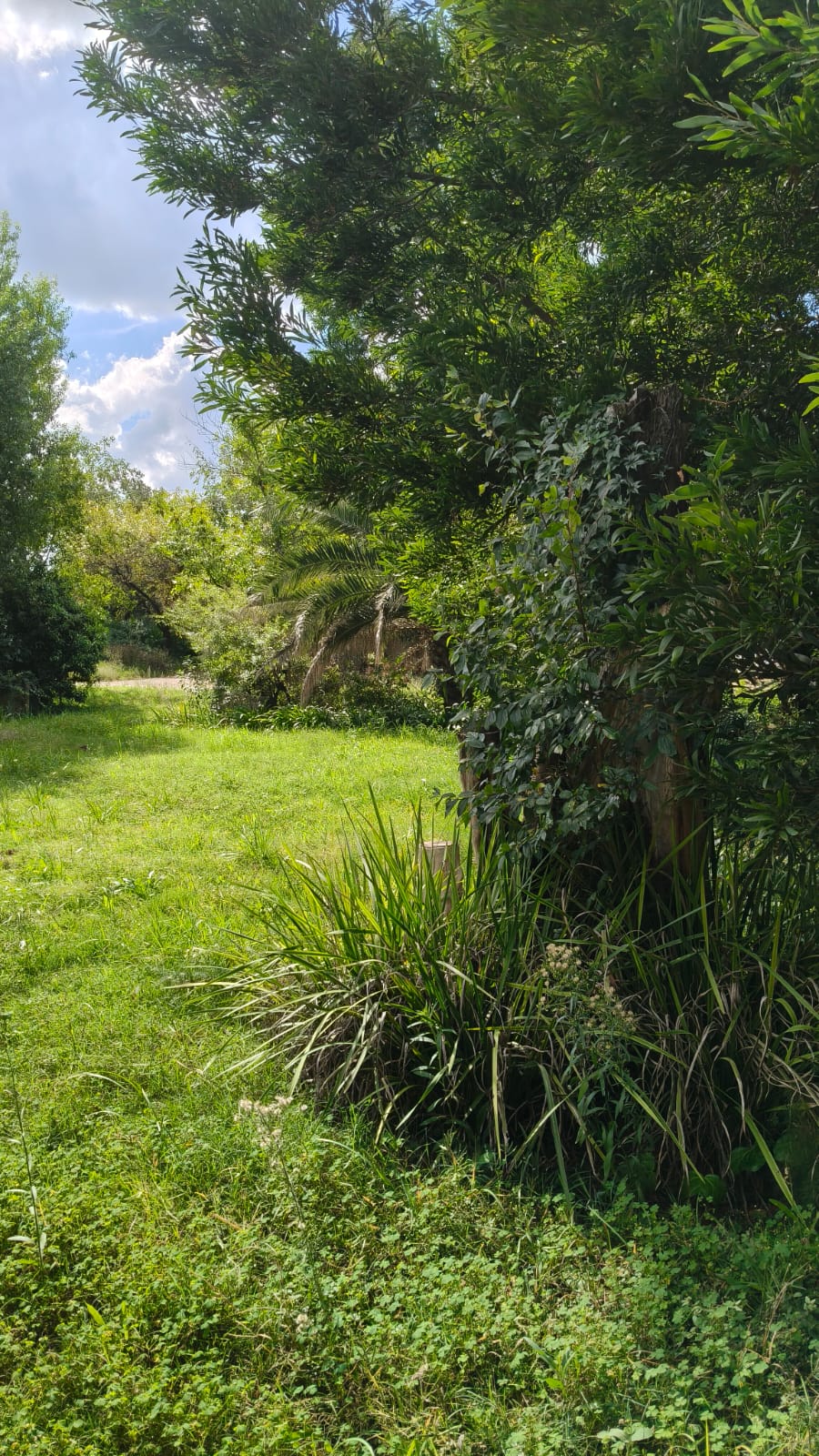 4 Bedroom Property for Sale in Hennenman Free State